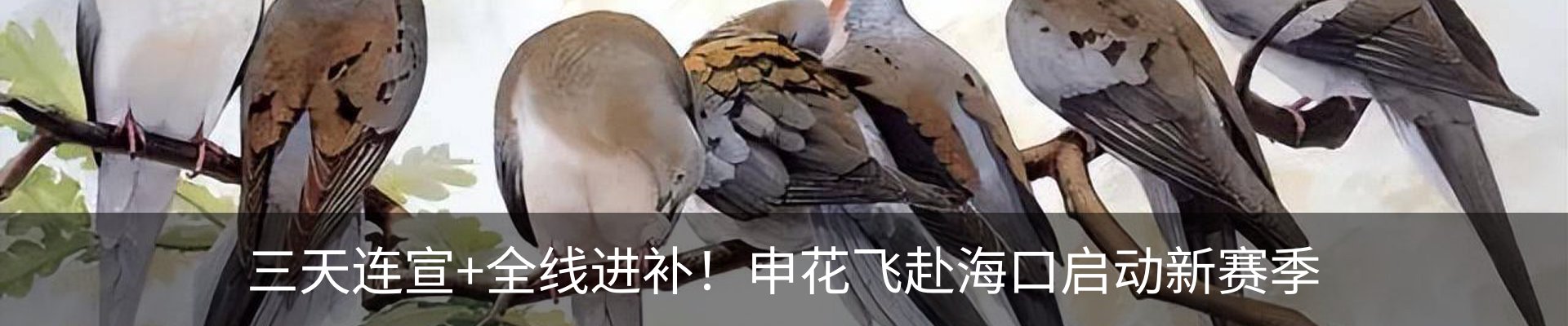 最新动态